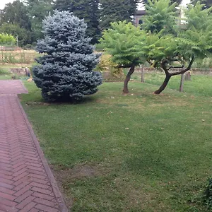 Bed & Breakfast Morosini, Polesella